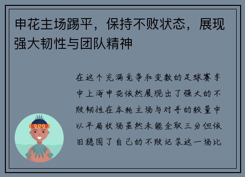 申花主场踢平，保持不败状态，展现强大韧性与团队精神